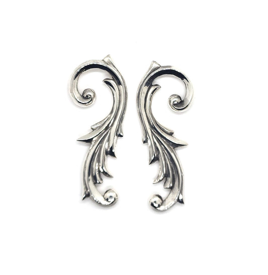 Ornamental Ear Weights