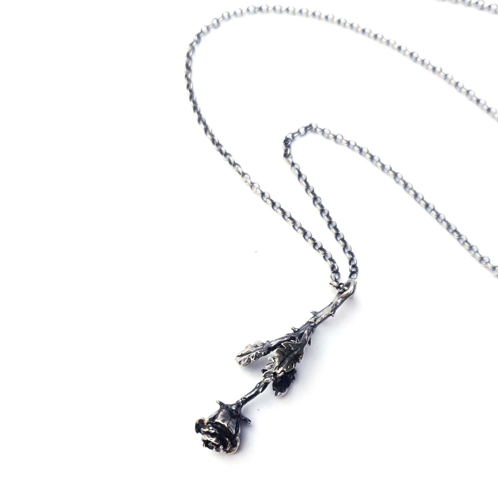 Black Velvet Flower Choker Necklace | New Look